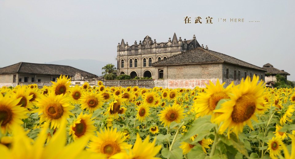 当前位置 金桂旅游 主题景点 武宣 东乡大景区 刘炳宇庄园#xe602